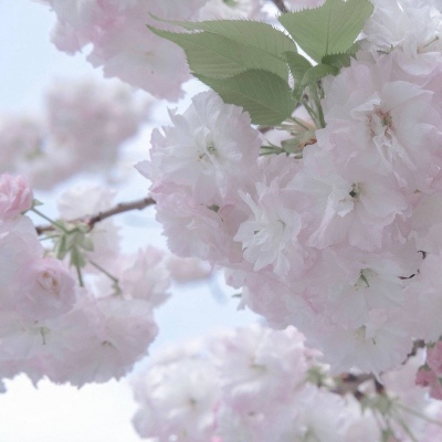 平遥FurryQQ群介绍